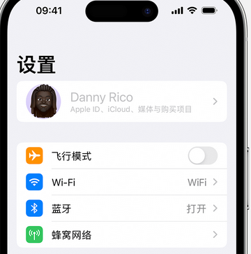 滕州appleID维修服务iPhone设置中Apple ID显示为灰色无法使用 