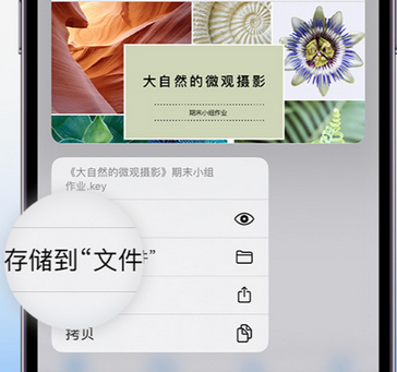 滕州apple维修中心分享iPhone文件应用中存储和找到下载文件