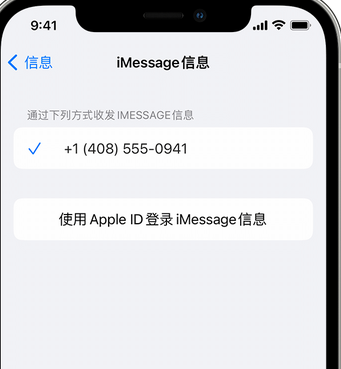 滕州apple维修iPhone上无法正常发送iMessage信息 