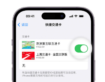 滕州apple维修点分享iPhone上更换Apple Pay快捷交通卡手绘卡面 