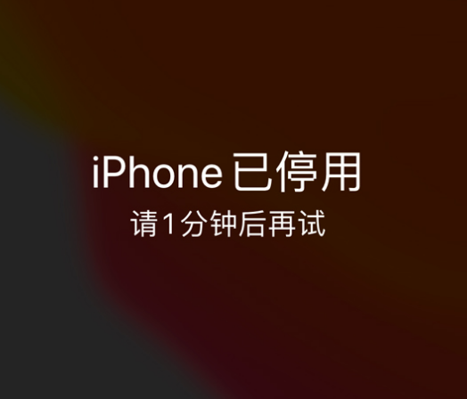 滕州苹果手机维修分享:iPhone 显示“不可用”或“已停用”怎么办？还能保留数据吗？ 