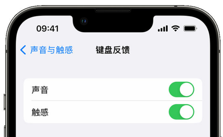 滕州苹果手机维修分享iPhone 14触感键盘使用方法 