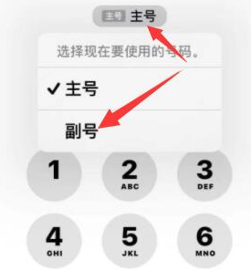 滕州苹果14维修店分享iPhone 14 Pro Max使用副卡打电话的方法 