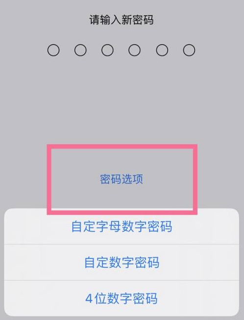 滕州苹果14维修分享iPhone 14plus设置密码的方法 