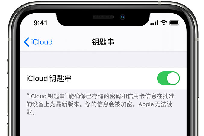 滕州苹果手机维修分享在 iPhone 上开启 iCloud 钥匙串之后会储存哪些信息 