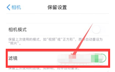 滕州苹果13维修分享iPhone13拍照有绿点是怎么回事 